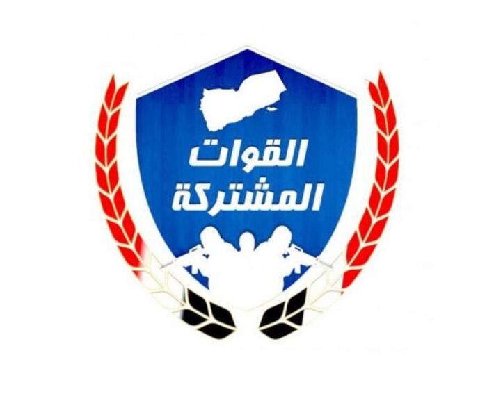 الحديدة.. القوات المشتركة تبطل عملية نسف بالغام حوثية لمدرسة في ضواحي حيس