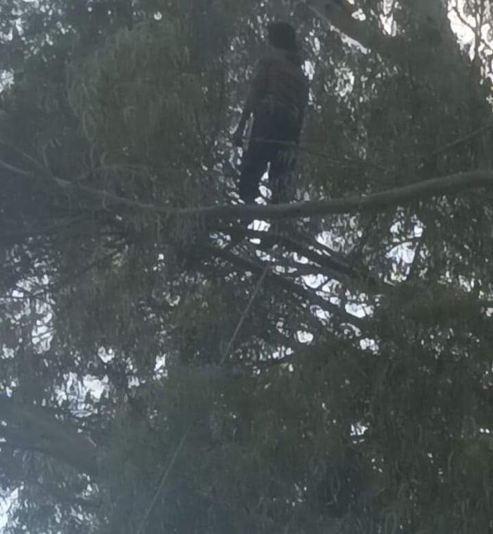 الضالع.. العثور على مهاجر إثيوبي مشنوقاً على شجرة