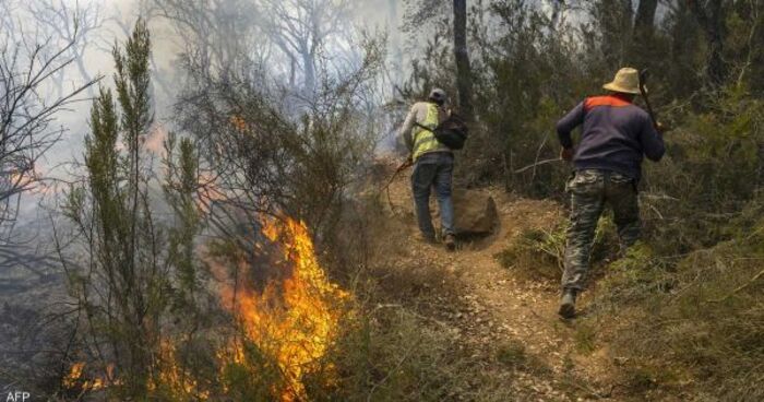وفاة 3 عمال إطفاء أثناء إخماد حريق شمالي المغرب