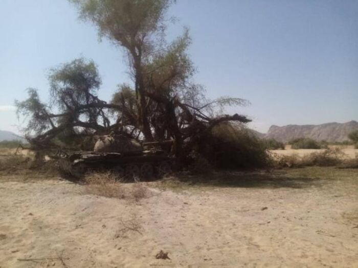 مصرع 40 عنصرا حوثيا في كمين محكم بـ"جوبة" مأرب
