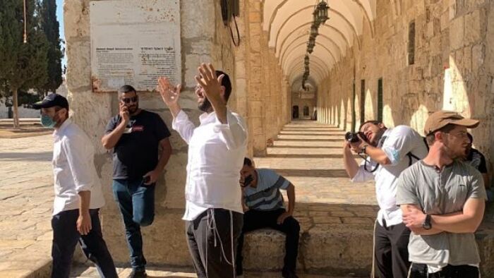 بحماية إسرائيلية.. مستوطنون يقتحمون المسجد الأقصى وينفذون اعتداءات في طوباس وجنين