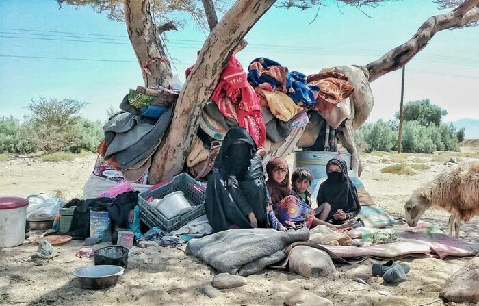 منظمة دولية: نزوح أكثر من 200 أسرة يمنية خلال أسبوع