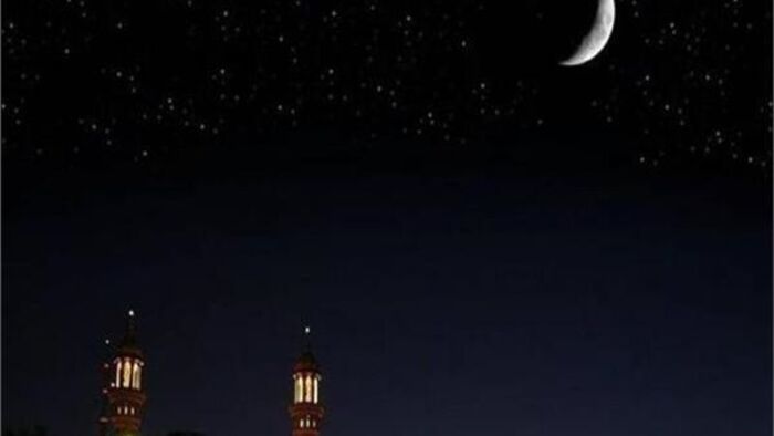 أين صديقنا الورد يا رئيس