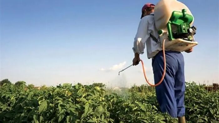 تهديدات حوثية للأطباء بعد تسرب وثائق تدينها بتهريب مبيدات مسرطنة