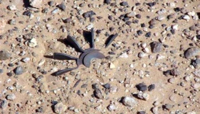 الجوف.. لغم حوثي يودي بحياة شقيقين في مديرية برط العنان