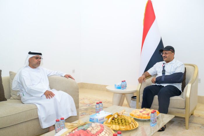 طارق صالح يلتقي سفير دولة الإمارات العربية المتحدة