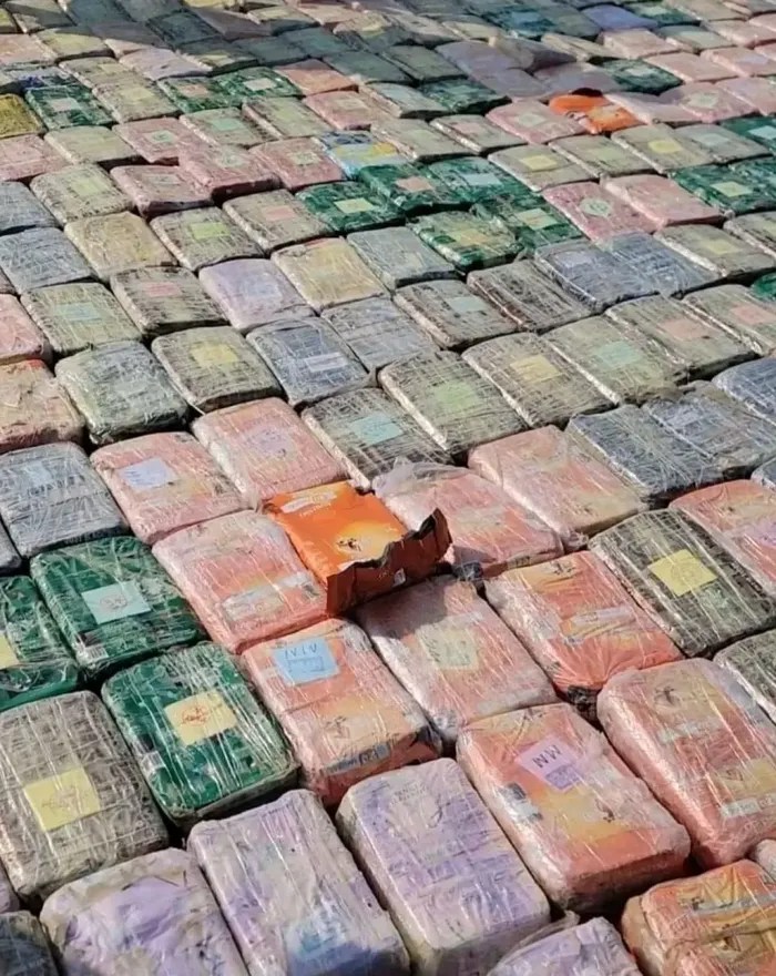 قوات العمالقة تضبط 623 كيلوغرام مخدرات قبالة سواحل لحج وتعتقل 4 مهربين