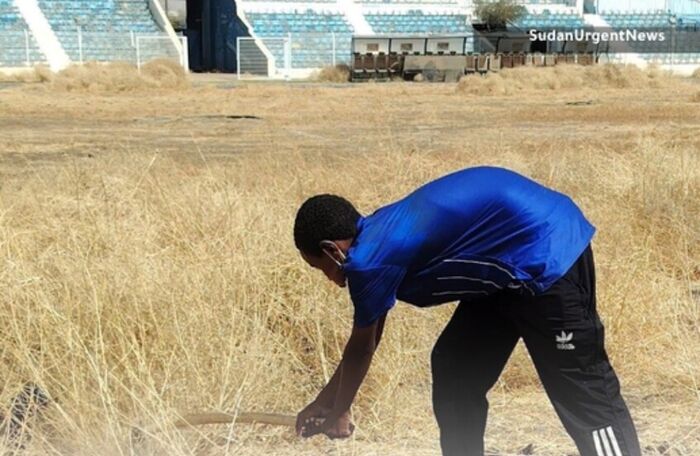 السودان.. متطوعون يعثرون على قبر داخل ملعب الهلال خلال حملة تنظيف بـ"الجوهرة الزرقاء"