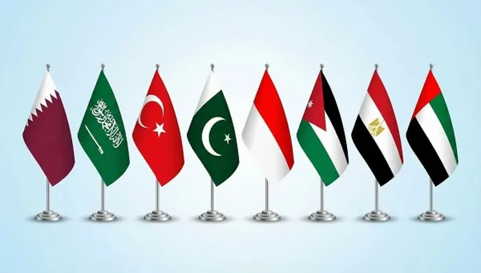 8 دول عربية وإسلامية تصدر بيانًا مشتركًا يدين انتهاكات الاحتلال الإسرائيلي في غزة ويطالب بتحرك دولي عاجل