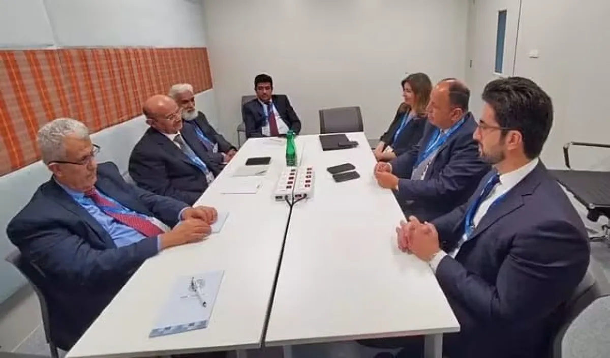 محافظ البنك المركزي ووزير التخطيط يلتقيان المدير التنفيذي للمجموعة العربية والمالديف لدى صندوق النقد الدولي