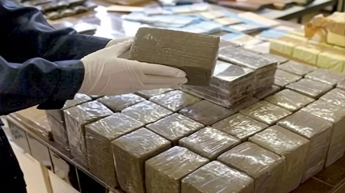 الجزائر: الإعدام لثلاثة متهمين بتهريب 114 طناً من القنب الهندي