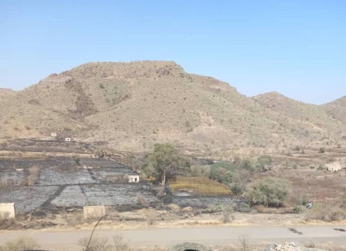 جرائم متجددة.. الحوثيون يحرقون مزارع المواطنين في منطقة مريس بالضالع "صورة"
