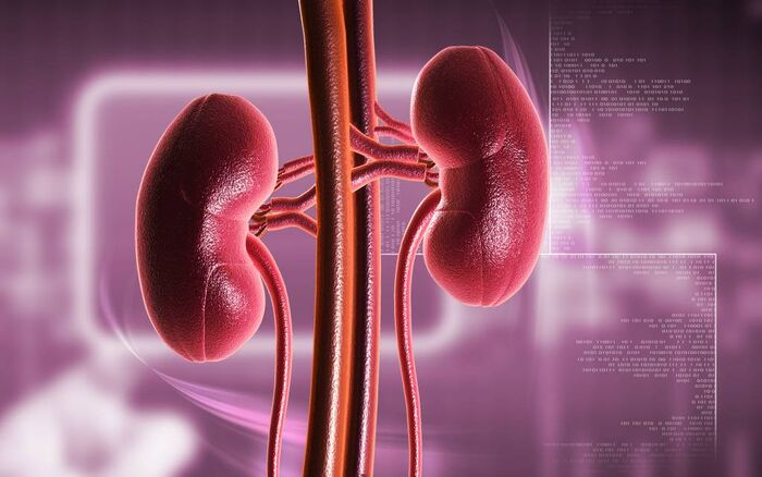 حصى الكلى.. تعرف على الأسباب والأعراض والوقاية والعلاج