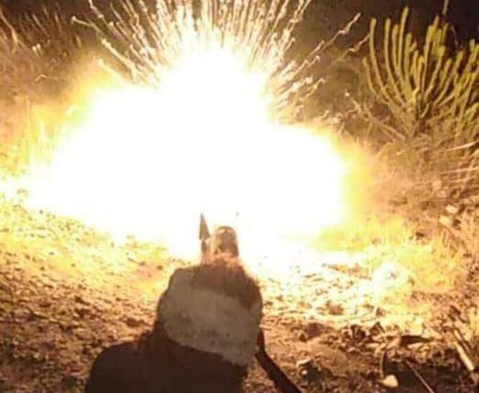 الضالع.. القوات المشتركة تفشل محاولة تسلل حوثية جنوبي قطاع الفاخر